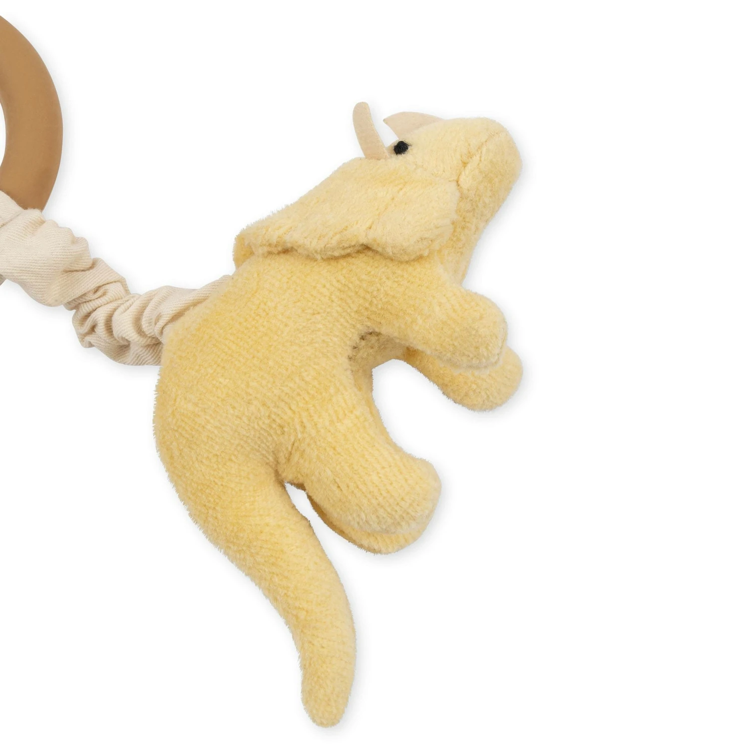 Anneau D'activité Dinosaures 4 Anneau D'activité Dinosaures – Image 4