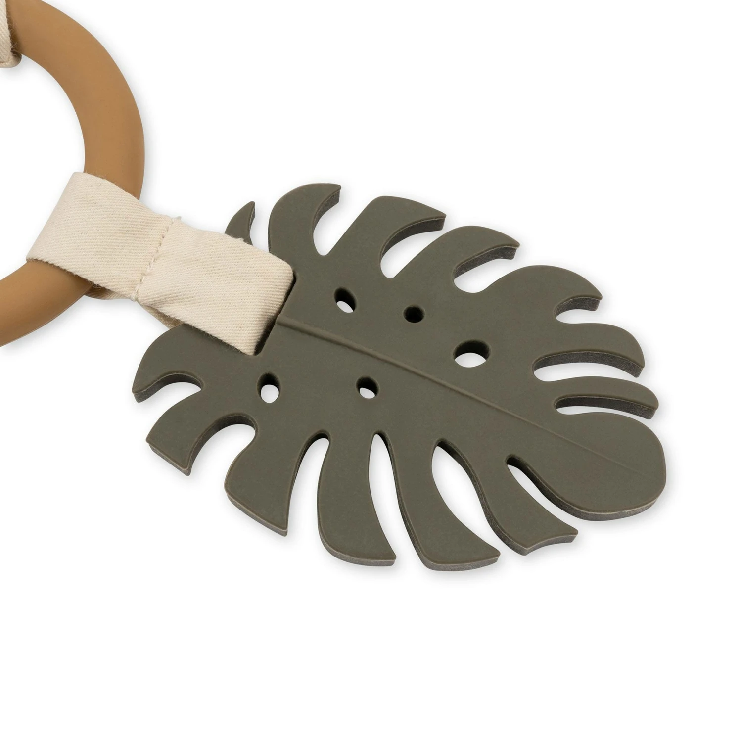 Anneau D'activité Dinosaures 5 Anneau D'activité Dinosaures – Image 5