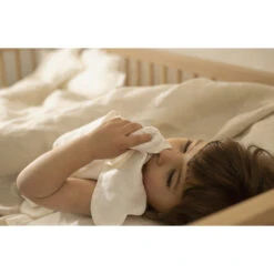 Doudou Bird Lin Français -Jouet Promos Boutique doudou bird lin francais nobodinoz.4h2z0r.max