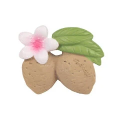 Jouet à Mordiller Amande Aly