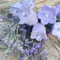 Jouet à Mordiller Campanule Cindy -Jouet Promos Boutique jouet a mordiller campanule cindy oli amp carol.5vbqs6.max