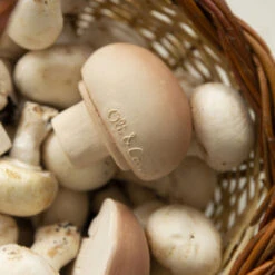 Jouet à Mordiller Champignon Manolo -Jouet Promos Boutique jouet a mordiller champignon manolo oli amp carol.3hnt5p.max