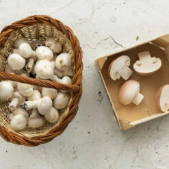 Jouet à Mordiller Champignon Manolo -Jouet Promos Boutique jouet a mordiller champignon manolo oli amp carol.gbmx73.max