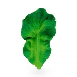 Jouet à Mordiller Feuille De Chou Kendall