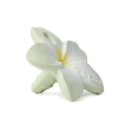 Jouet à Mordiller Fleur
