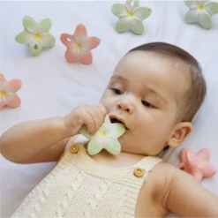 Jouet à Mordiller Fleur -Jouet Promos Boutique jouet a mordiller fleur oli amp carol.9tdn9r.max