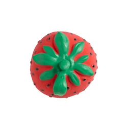 Jouet à Mordiller Fraise Sweetie -Jouet Promos Boutique jouet a mordiller fraise sweetie oli amp carol.8j4vlb.max