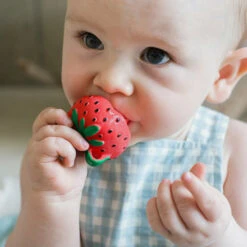 Jouet à Mordiller Fraise Sweetie -Jouet Promos Boutique jouet a mordiller fraise sweetie oli amp carol.kmkwfz.max