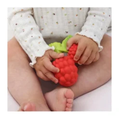 Jouet à Mordiller Framboise Valery -Jouet Promos Boutique jouet a mordiller framboise valery oli amp carol.hl6q38.max