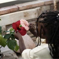 Jouet à Mordiller Hibiscus Iris -Jouet Promos Boutique jouet a mordiller hibiscus iris oli amp carol.7m59dm.max