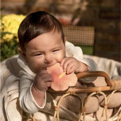 Jouet à Mordiller Hibiscus Iris -Jouet Promos Boutique jouet a mordiller hibiscus iris oli amp carol.9748sk.max