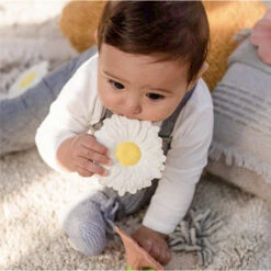 Jouet à Mordiller Marguerite Margarita -Jouet Promos Boutique jouet a mordiller marguerite margarita oli amp carol.xdp37c.max