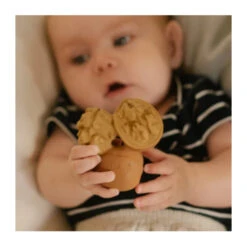 Jouet à Mordiller Noix Nutty -Jouet Promos Boutique jouet a mordiller noix nutty oli amp carol.qtmrh4 .max