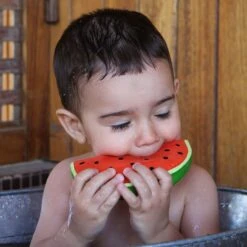 Jouet à Mordiller Pastèque Wally -Jouet Promos Boutique jouet a mordiller pasteque wally oli amp carol.mqkrvp.max