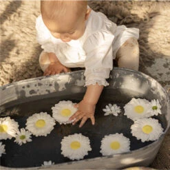 Jouet à Mordiller Tournesol Sun 11 Jouet à Mordiller Tournesol Sun -Jouet Promos Boutique jouet a mordiller tournesol sun oli amp carol.t52fc9.max