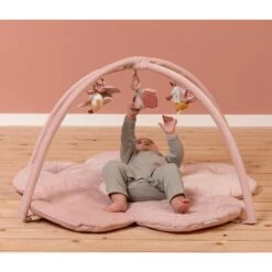 Little Dutch Tapis D'activités Avec Arche Flowers & Butterflies -Jouet Promos Boutique tapis dactivites avec arche flowers amp butterflies little dutch.nfpsqb.max